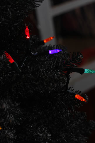 FY-1003 Рождество миниатюрные огни Мини лампы
