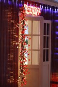 FY-50022 LED χριστουγε FY-50022 LED φθηνά υποκατάστημα χριστουγεννιάτικο δέντρο μικρό οδήγησε λάμπα λάμπα ανάβει - Οδήγησε φως δέντρο BranchΚίνα κατασκευαστή