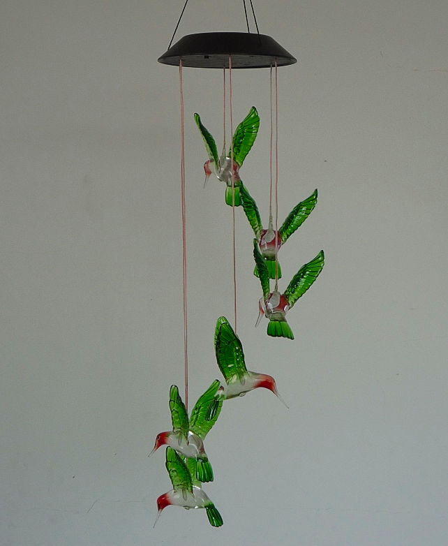 Solar String Light with Outfit,with,String,Solar,Outfit,Light